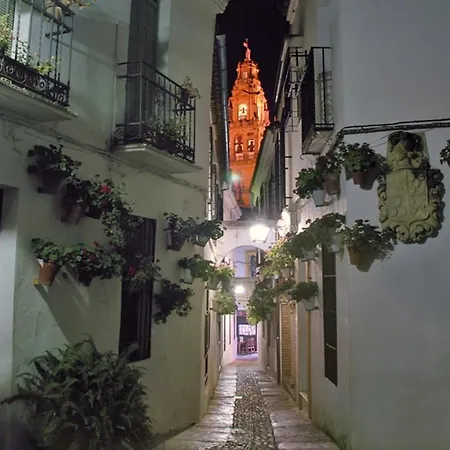 Atico Con Terraza Paseo De La Ribera Cordoba
