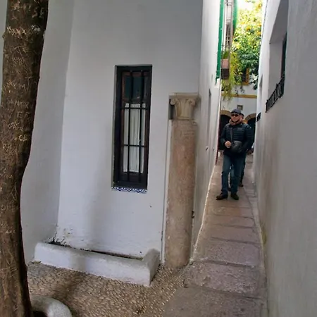 Atico Con Terraza Paseo De La Ribera *